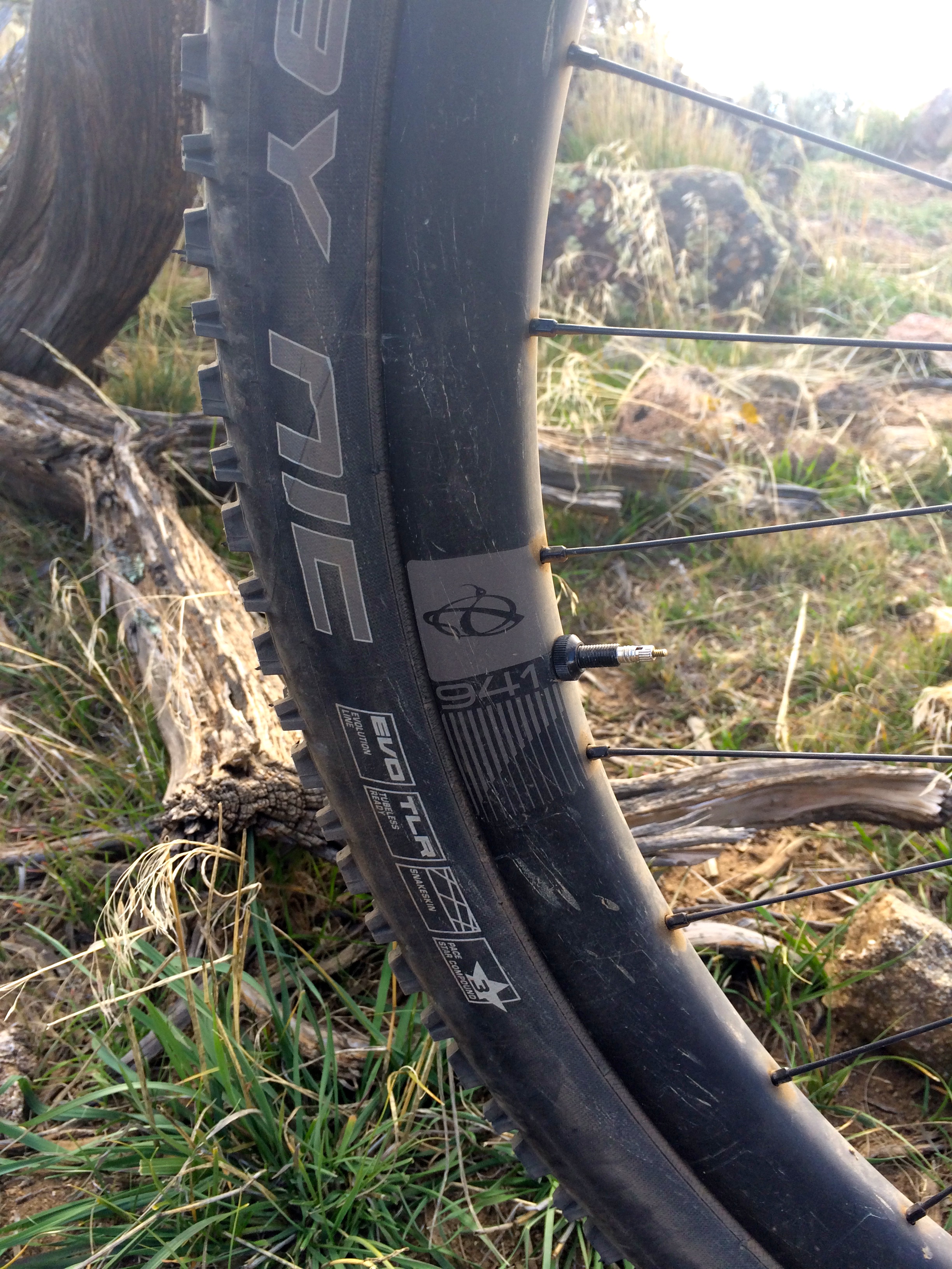 Ibis Tranny 29