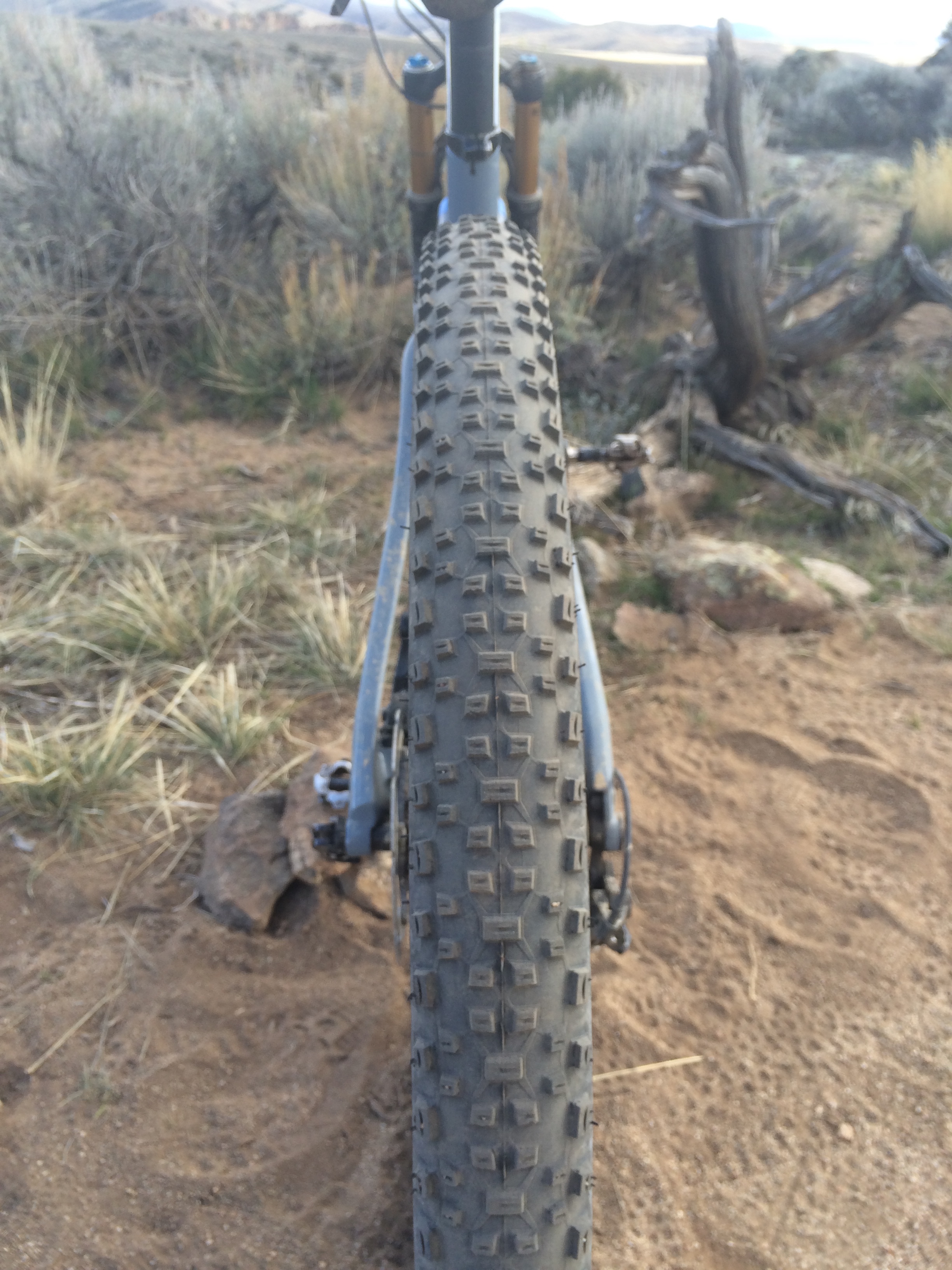 Ibis Tranny 29