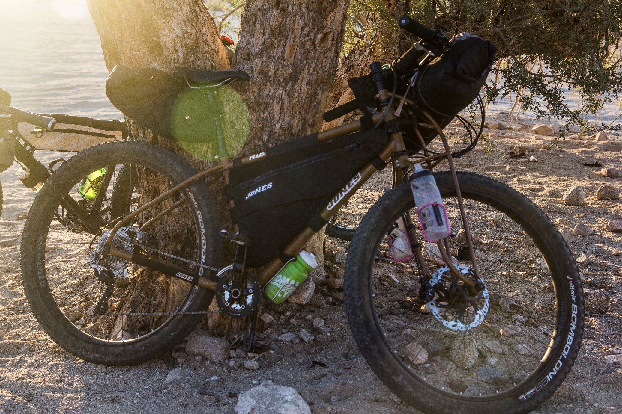 borregobikepacking_21