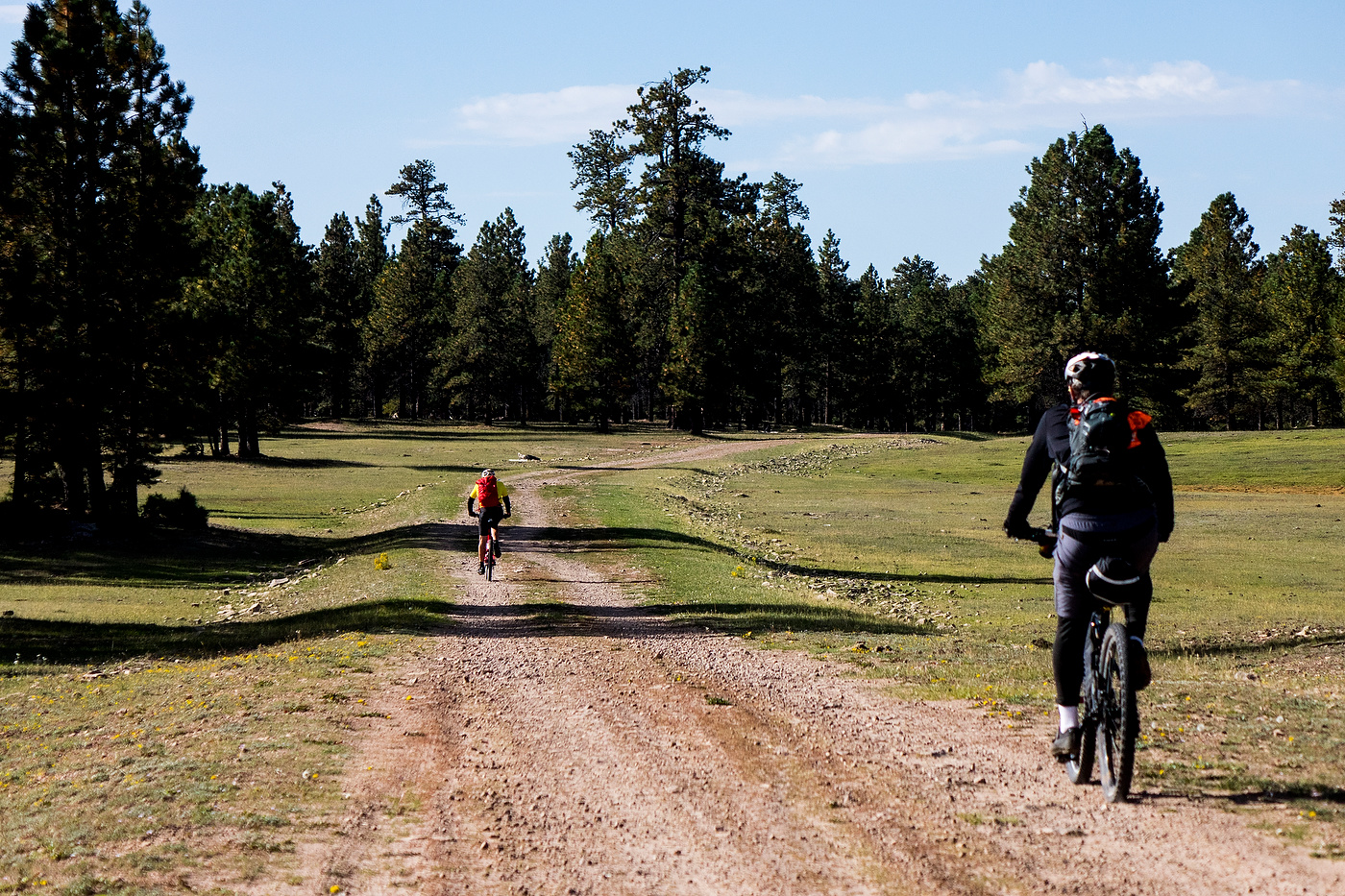 Chuska Mountain bikepacking