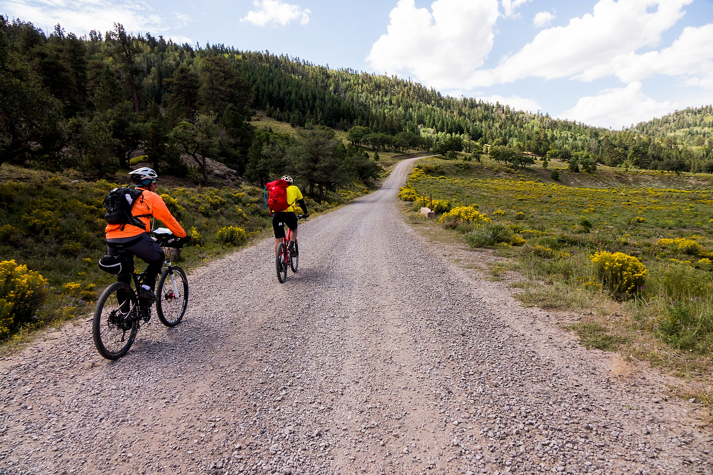Chuska Mountain bikepacking