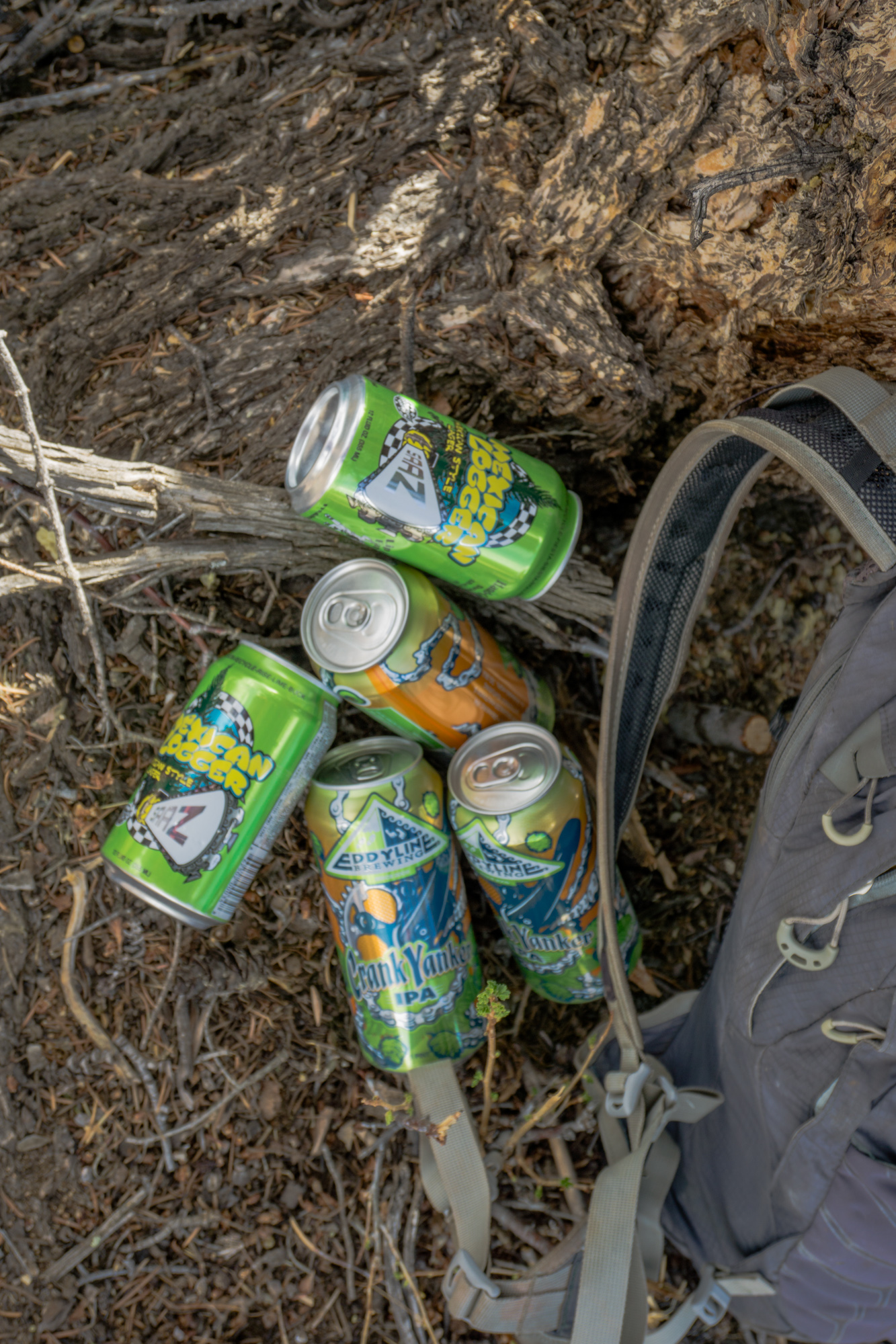 sometimes a backpack can carry necessary essentials.
