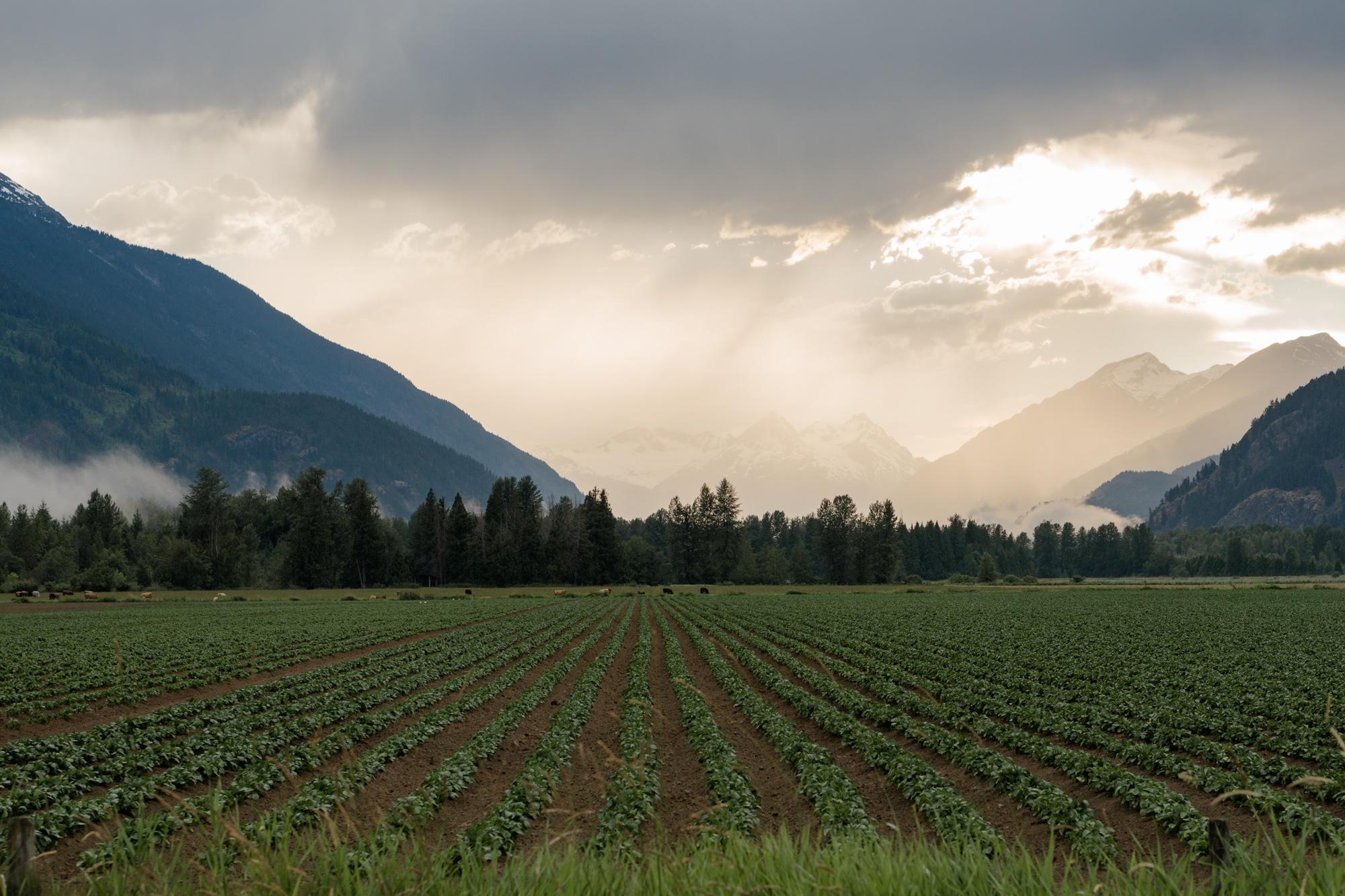 Bikepacking the South Chilcotin Mountains