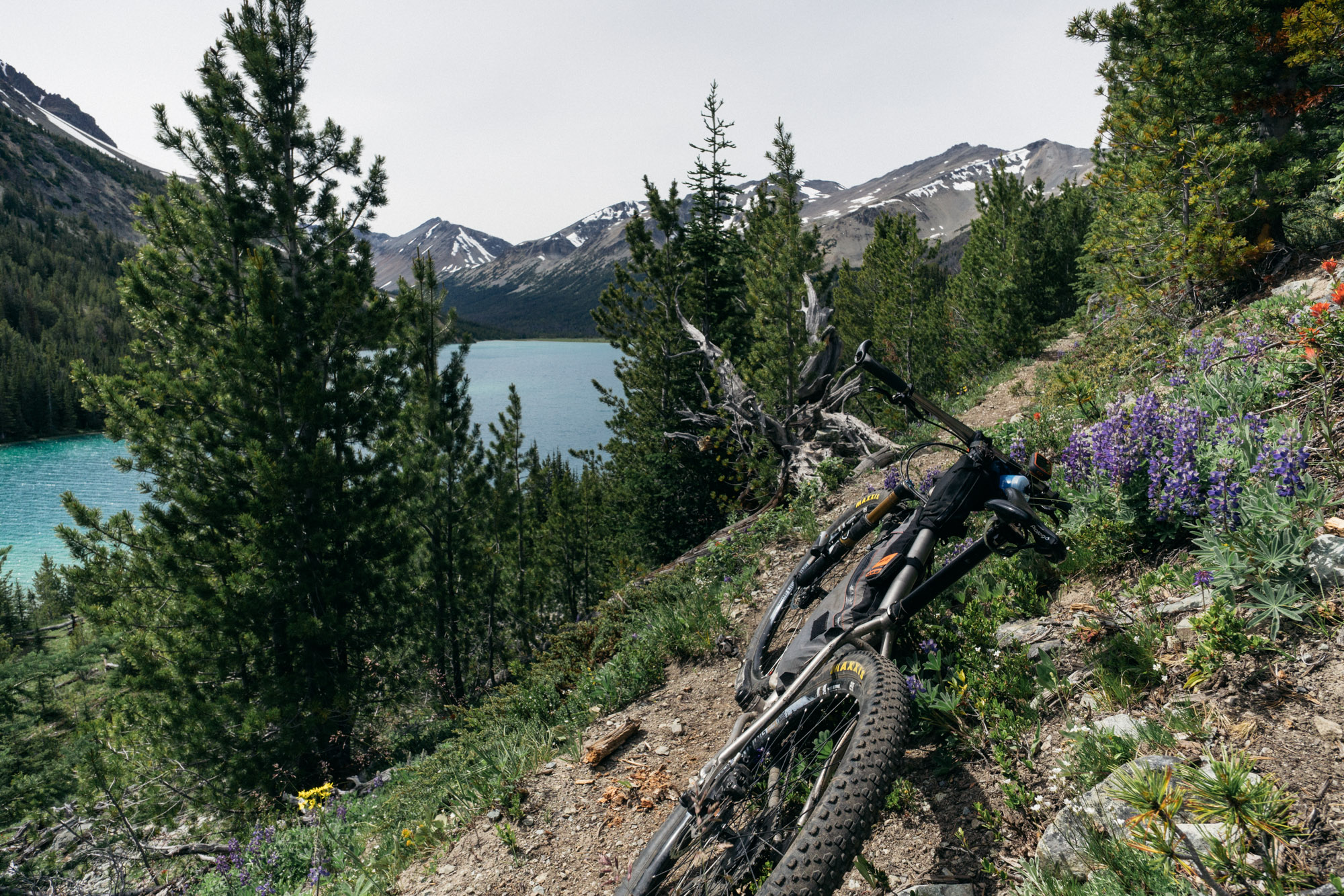 The topo lines on the map didn't look that bad, but there was a lot of up and down on Gun Creek Trail to Warner Lake.