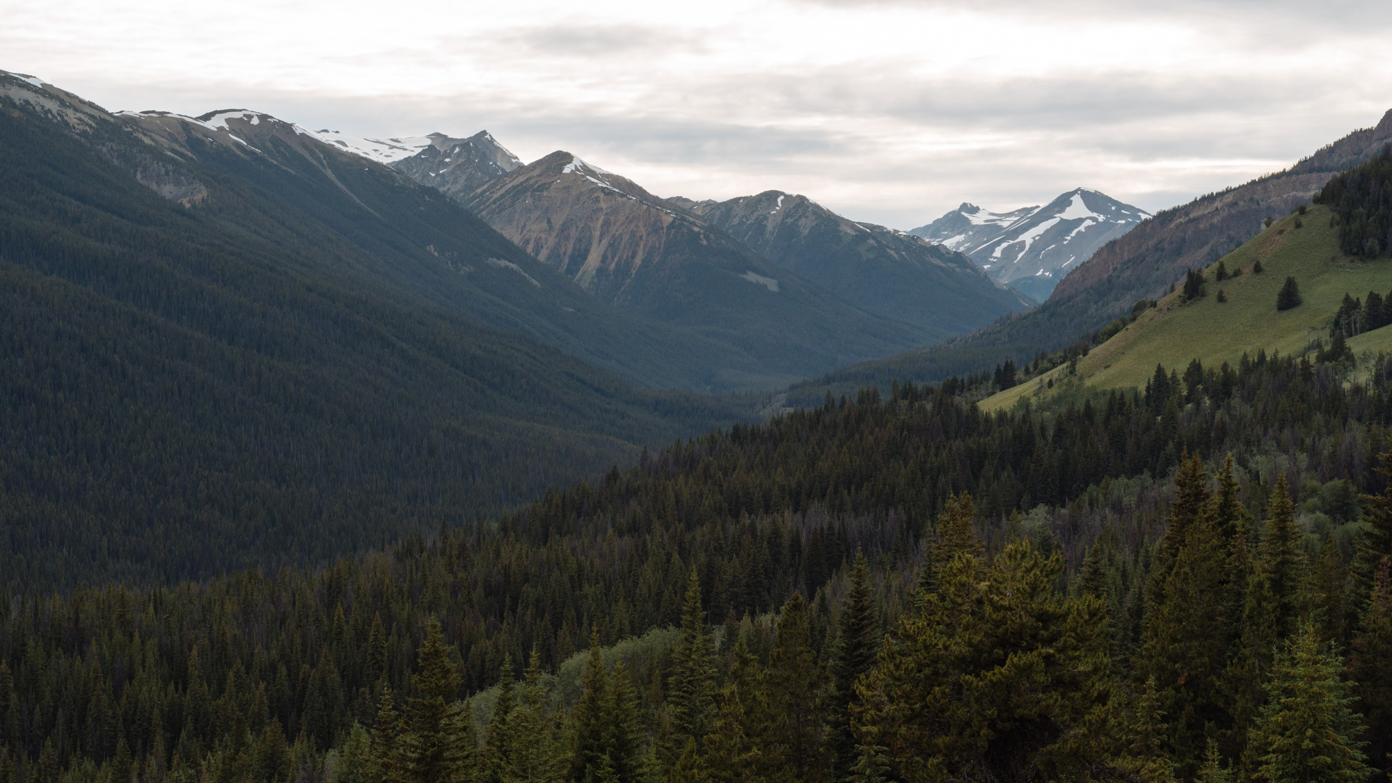 A look back towards Hummingbird Lake.
