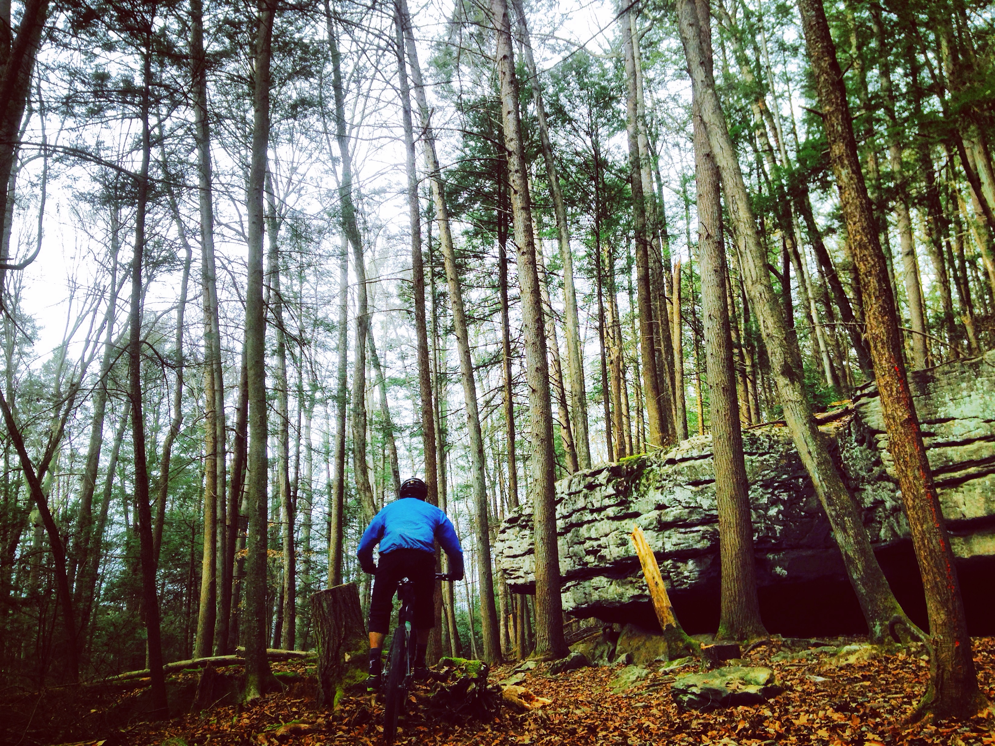 tour de west virginia