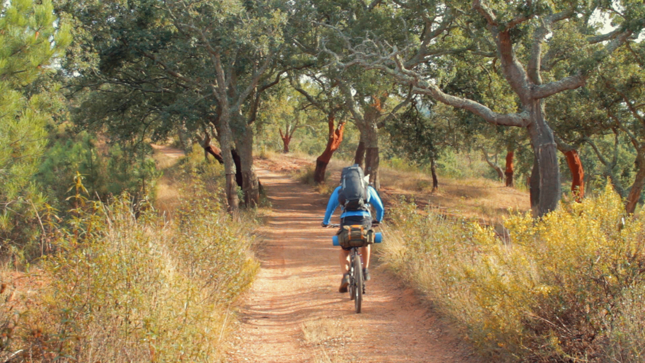 Trails outside of Santiago do Cacém.