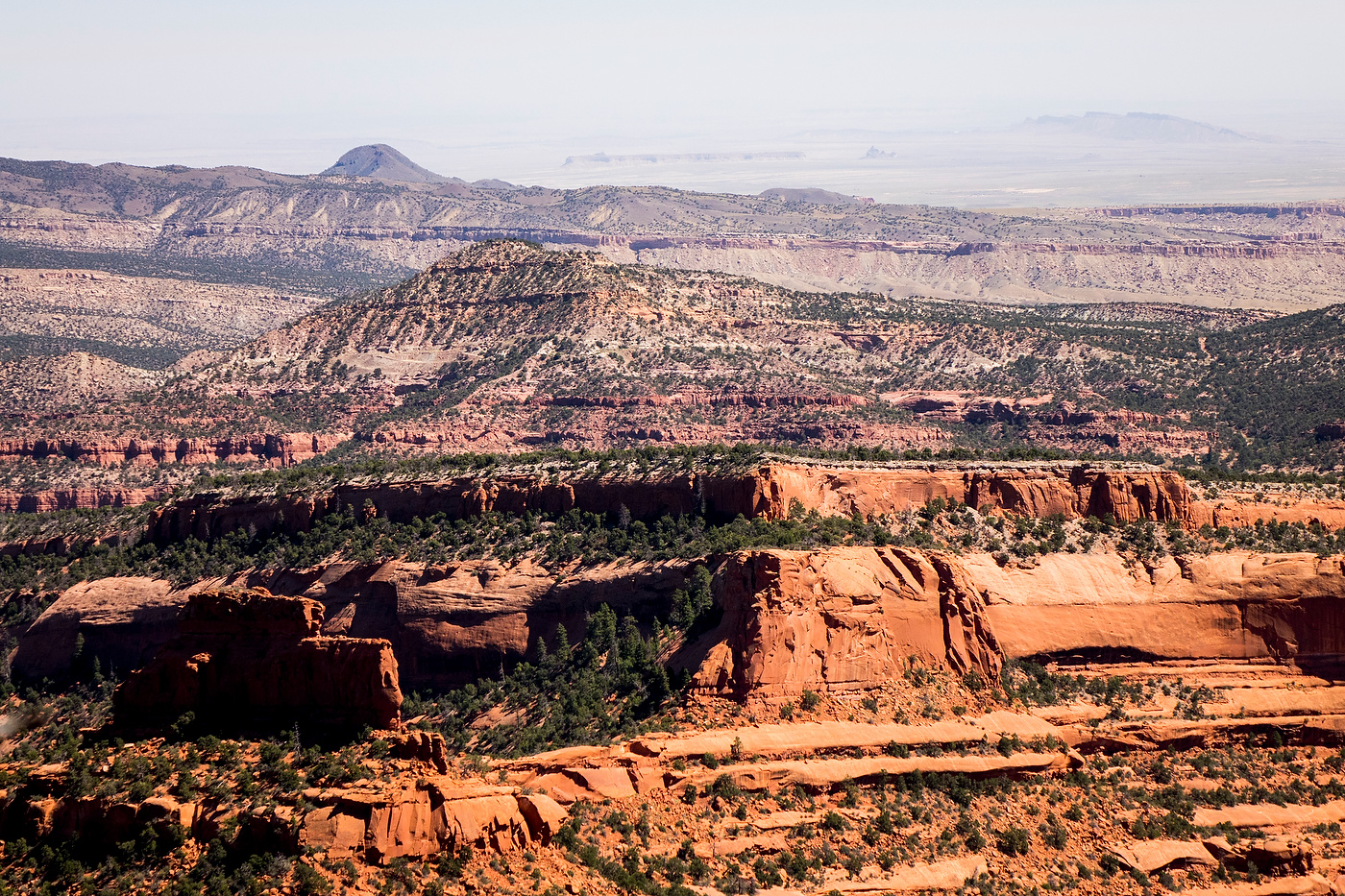 Chuska Mountain bikepacking Bikepacker